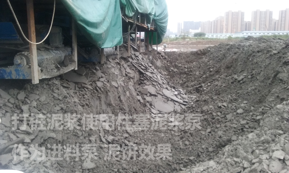 處理后的泥餅.jpg 處理后的泥餅.jpg