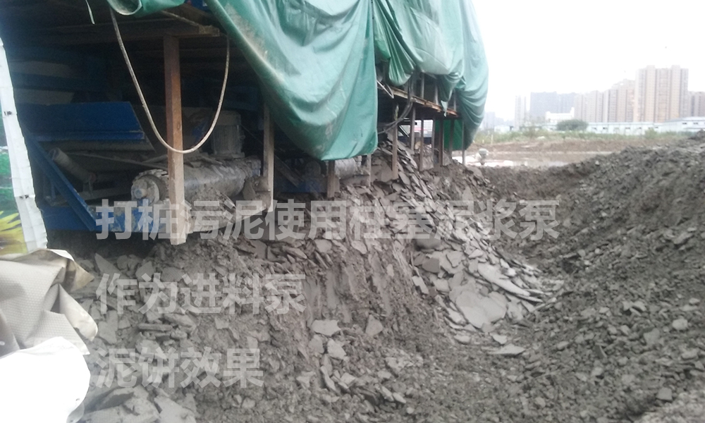 處理后的泥餅3.jpg 處理后的泥餅3.jpg