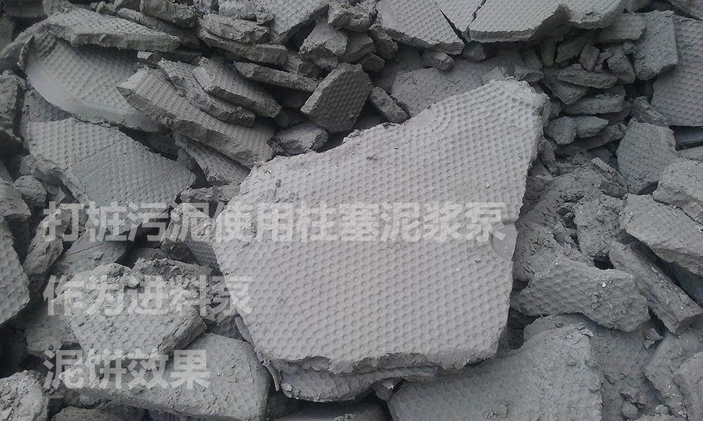 處理后的泥餅6.jpg 處理后的泥餅6.jpg